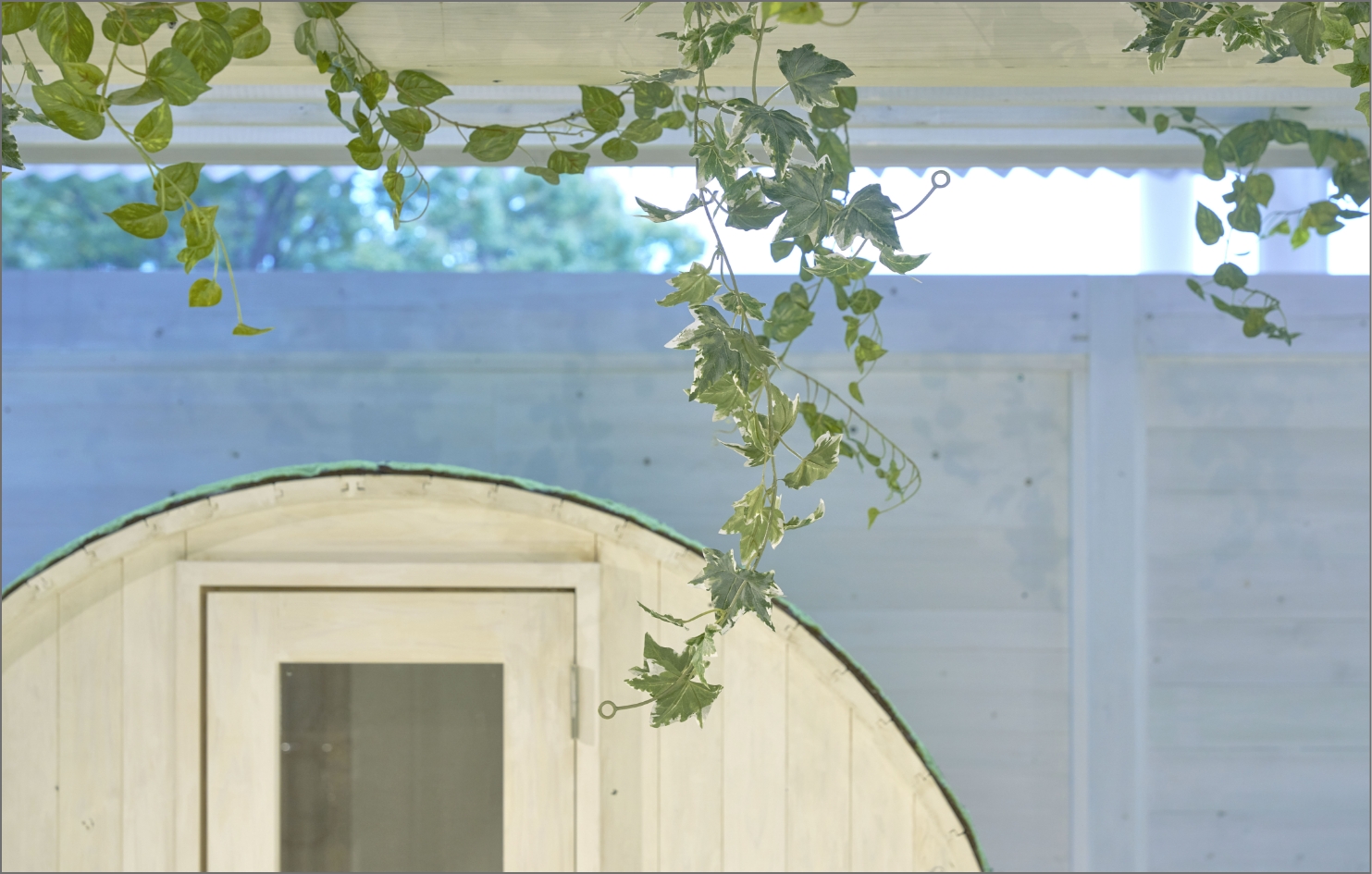 天井からつたう緑のアクセント